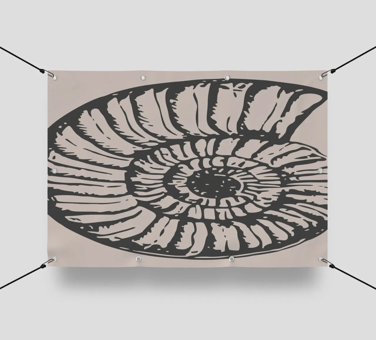 Ammonite Fossil Print - Earthy Tones, Modern Paleontology Ar pvc cover by ClubArt