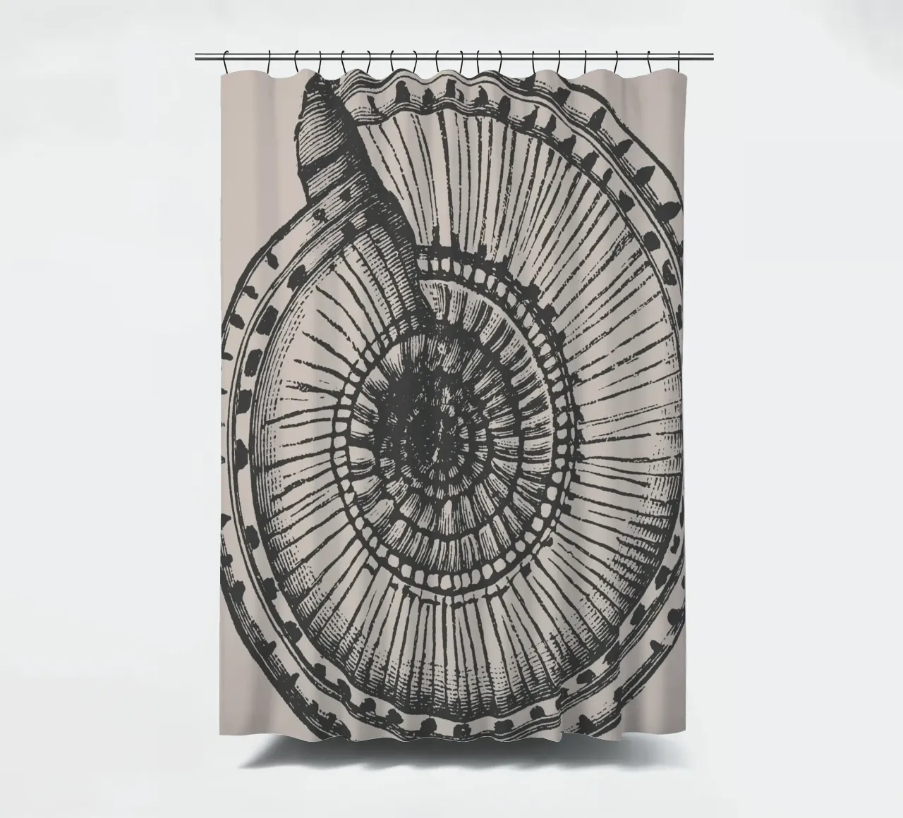 Stampa dettagliata di un fossile di ammonite - Toni terrosi, Ar... tenda da doccia da ClubArt