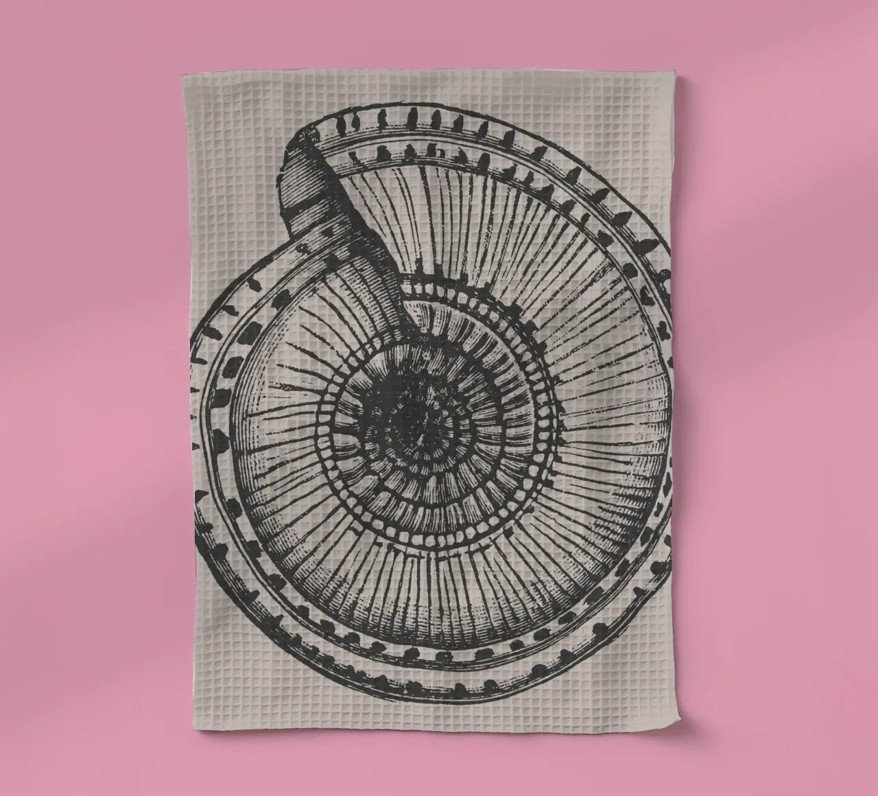 Stampa dettagliata di un fossile di ammonite - Toni terrosi, Ar... canovaccio da cucina da ClubArt
