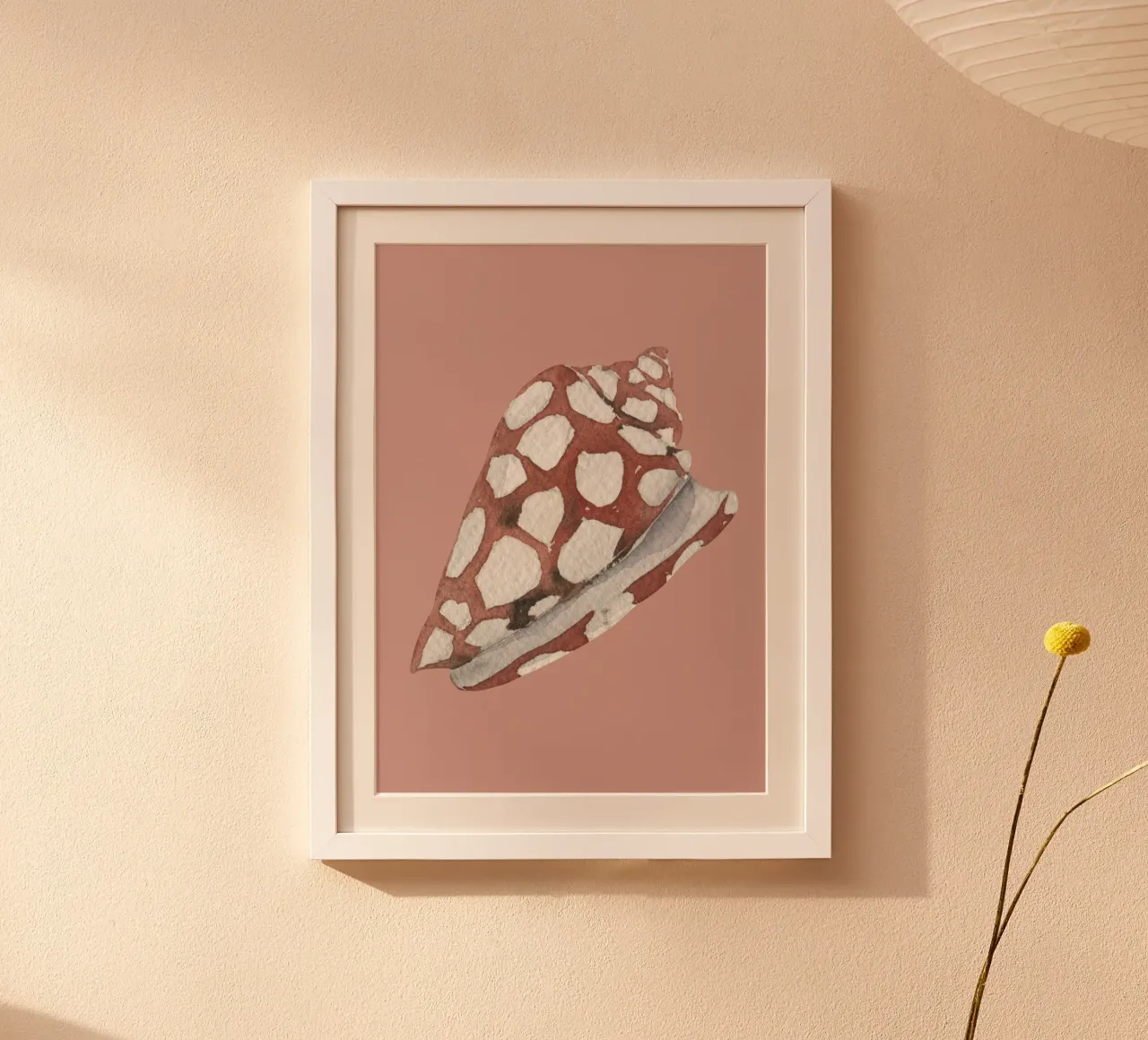 Conchiglia maculata acquerellata - Terracotta e bianco, Ar. costiera carta hahnemühle da ClubArt