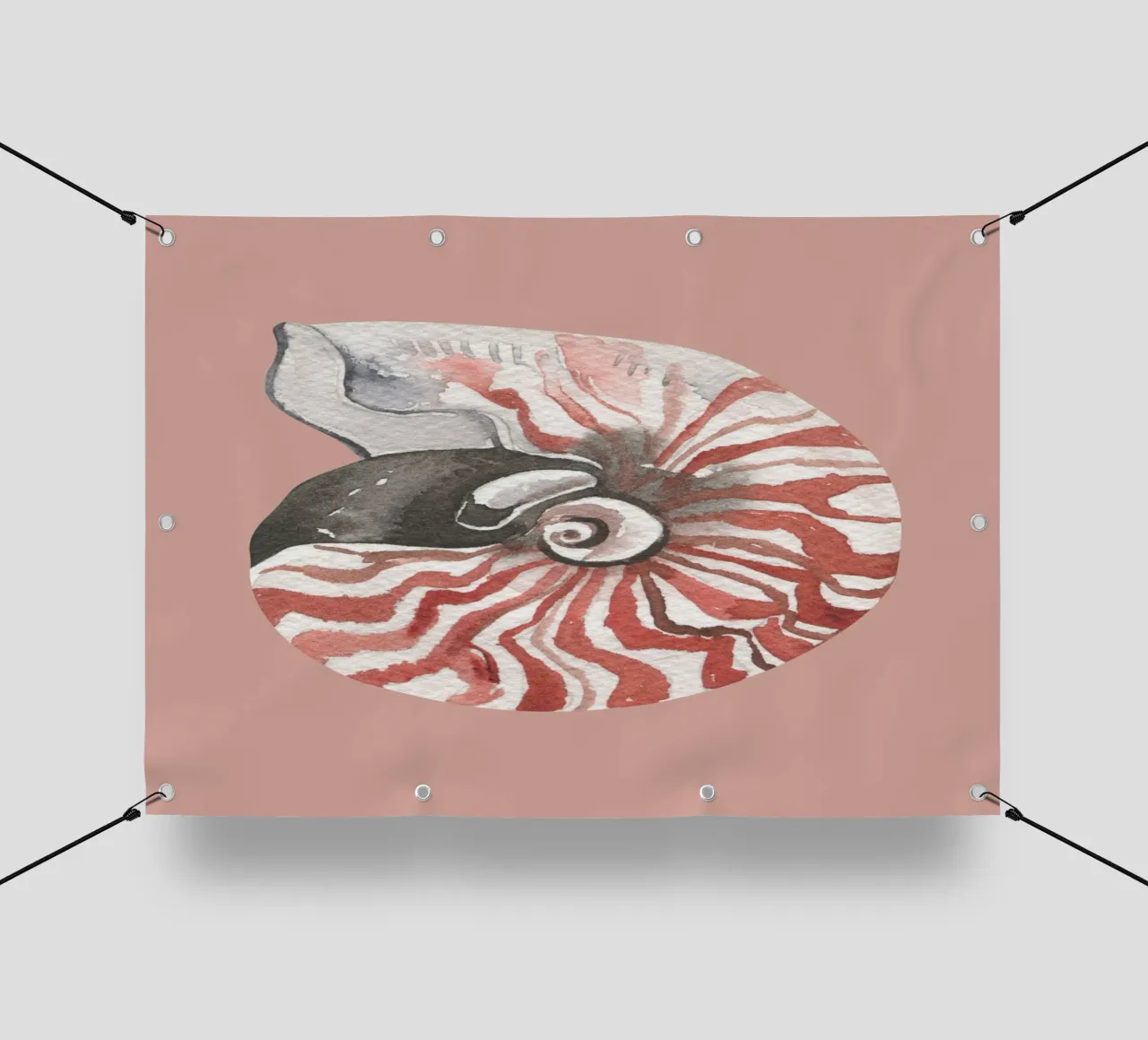 Nautilus Shell Acquerello - Terracotta e bianco, Arte costiera telo in pvc da ClubArt