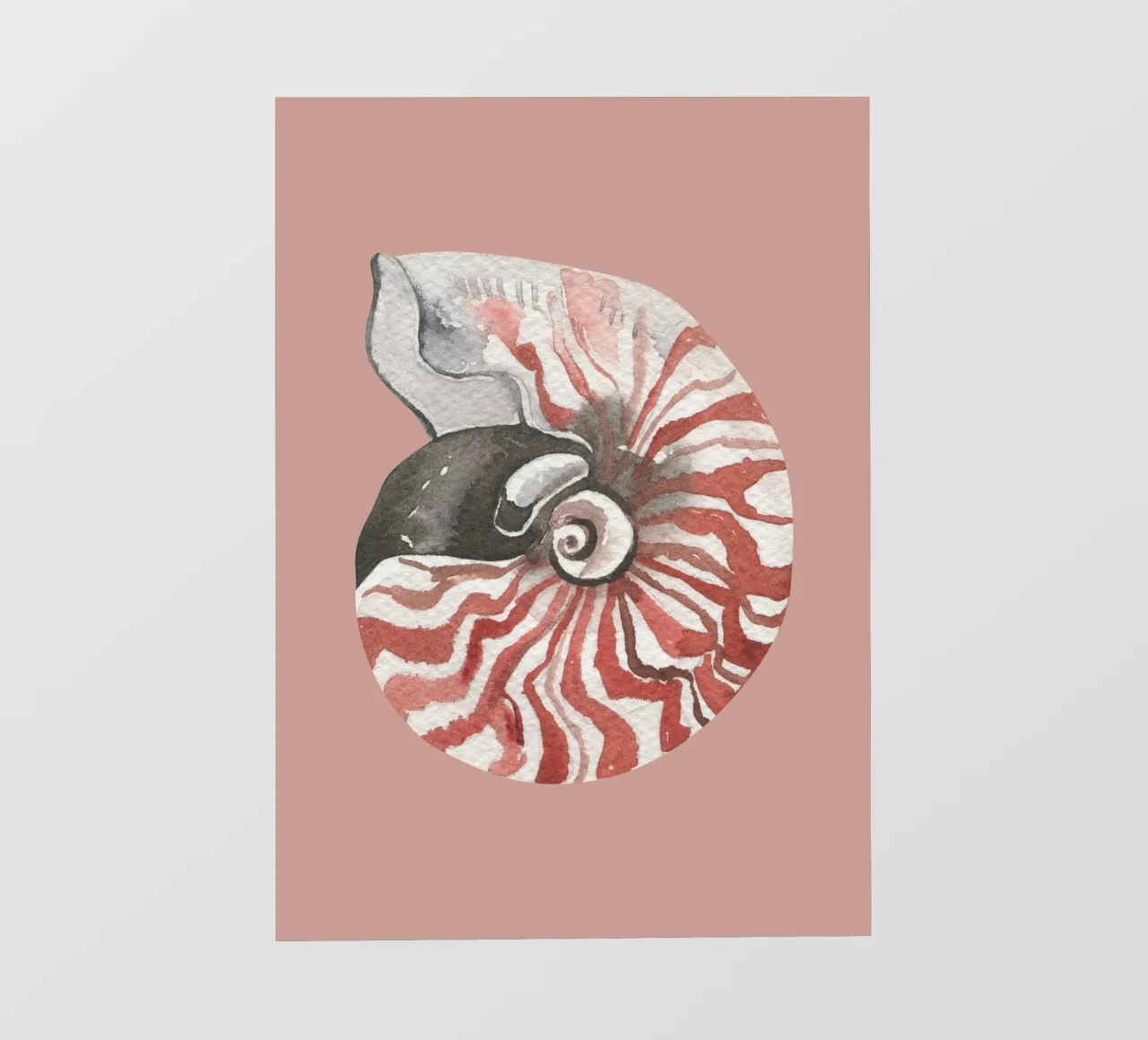 Nautilus Shell Acquerello - Terracotta e bianco, Arte costiera telo in pvc da ClubArt