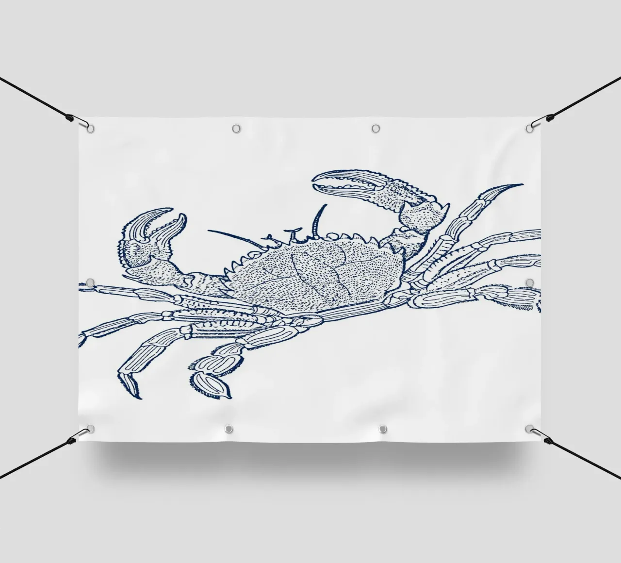 Stampa dettagliata del granchio blu - Arte nautica e vita marina costiera telo in pvc da ClubArt