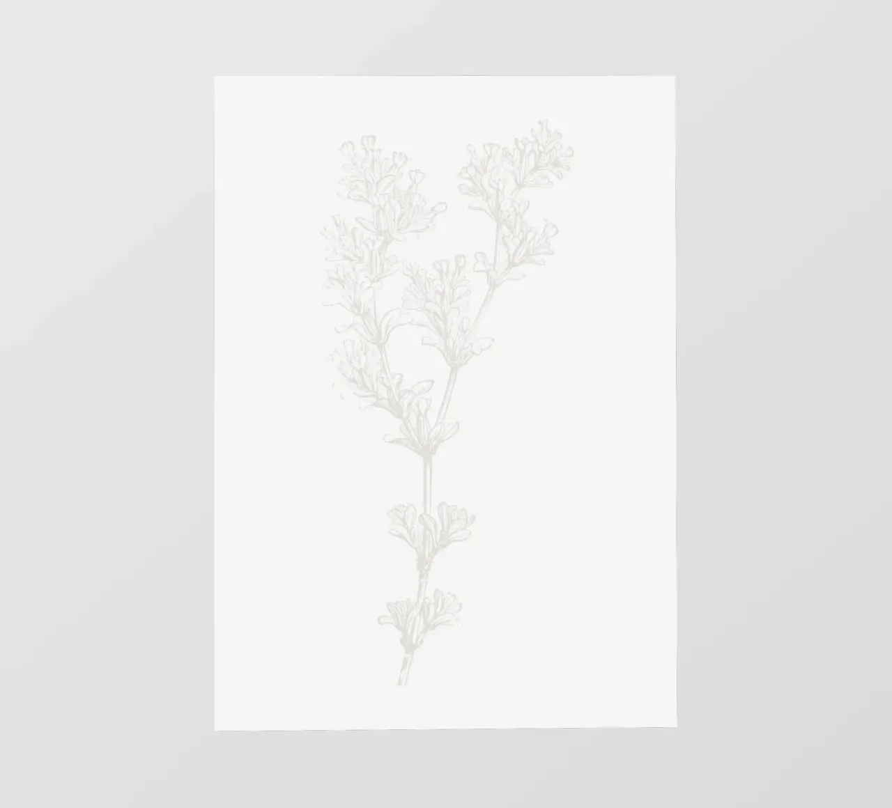 Subtle Botanical Line Art - Minimalist Floral Print, Aesthet pvc cover by ClubArt