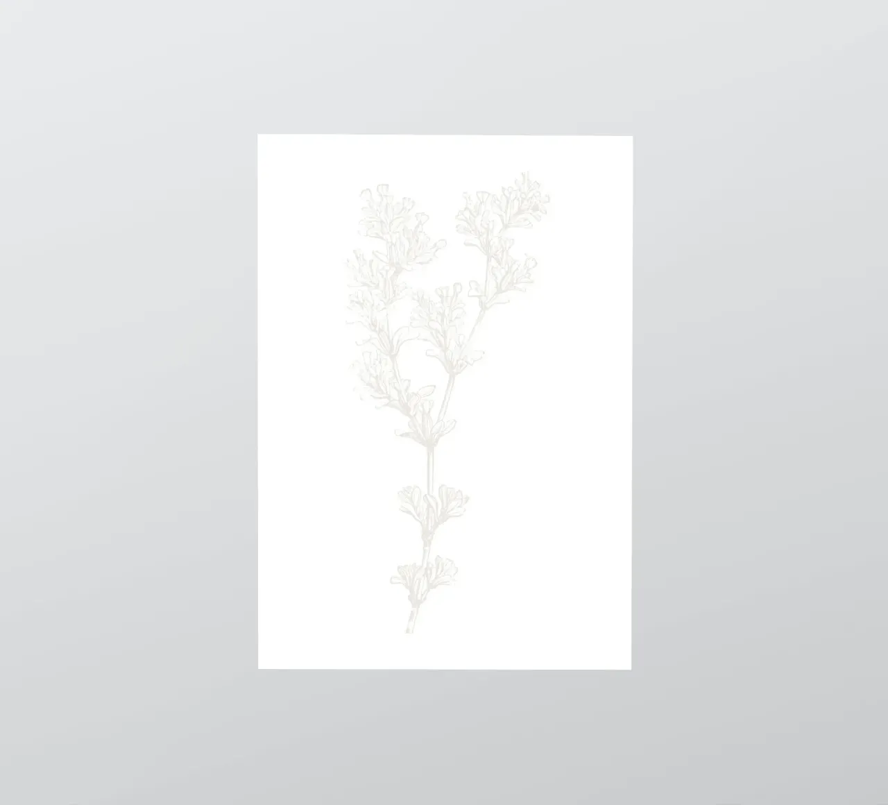 Subtiele Botanische Lijnkunst - Minimalistische Bloemenprint, Esthetisch sticker van ClubArt