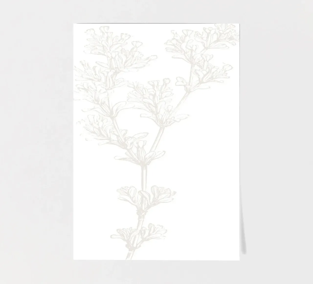 Subtiele Botanische Lijnkunst - Minimalistische Bloemenprint, Esthetisch stickervel van ClubArt