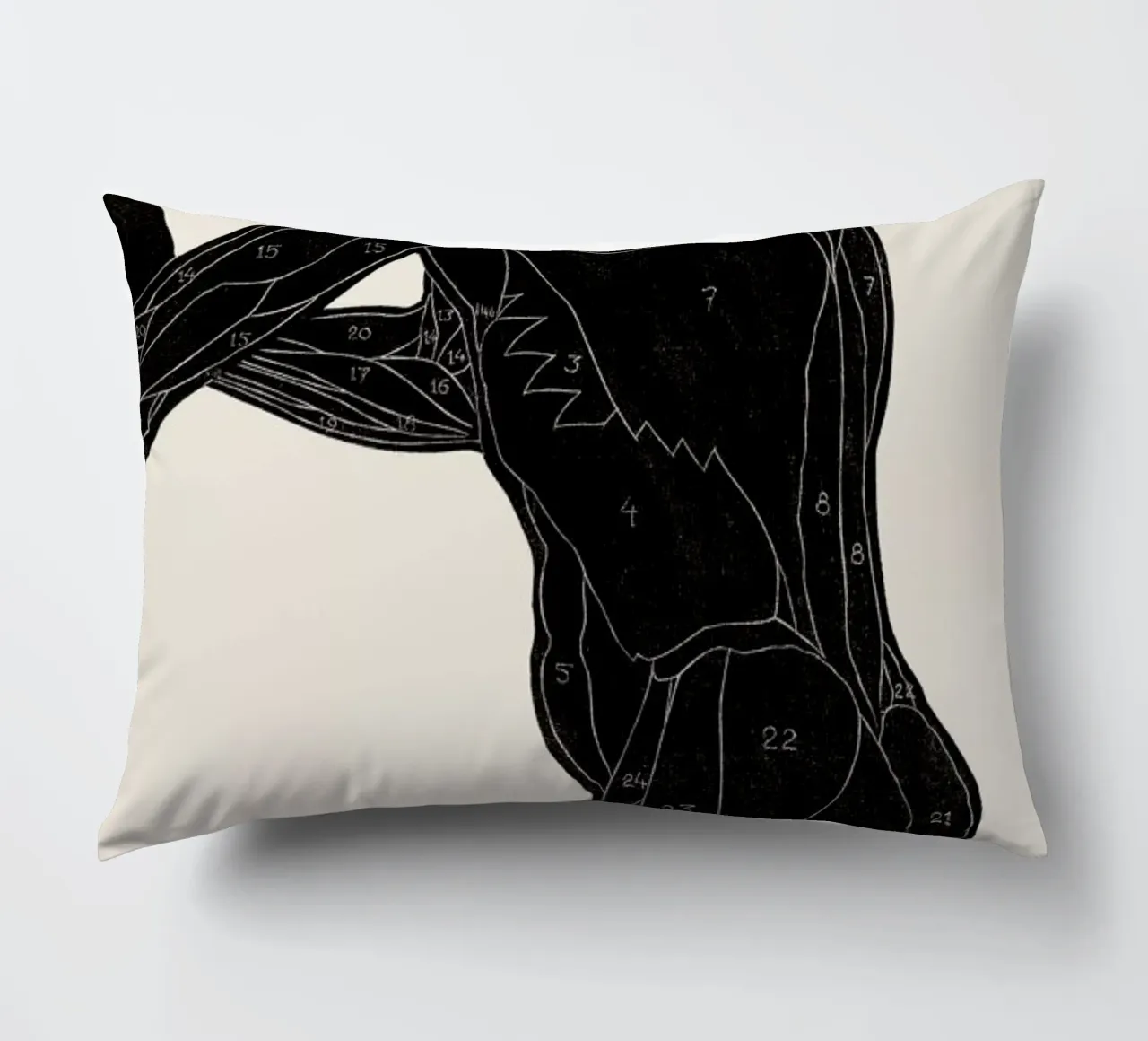 Stolk - Anatomical Study of a Man's Lateral and Arm Muscles cuscino da Vintage by JUNIQE
