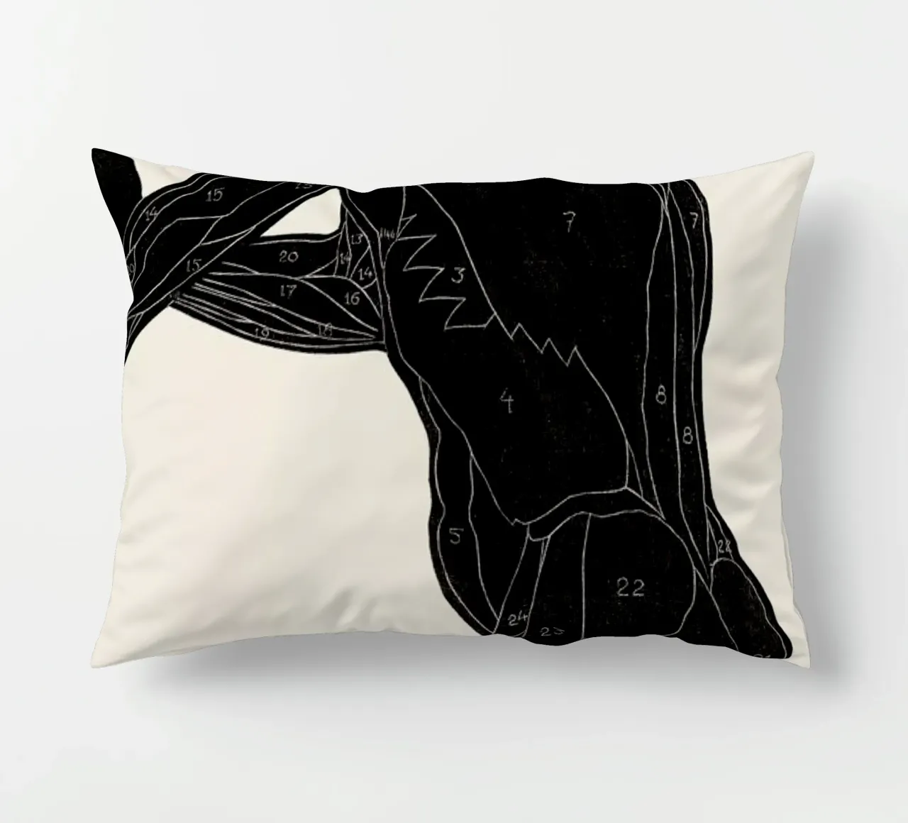 Stolk - Anatomical Study of a Man's Lateral and Arm Muscles cuscino da Vintage by JUNIQE
