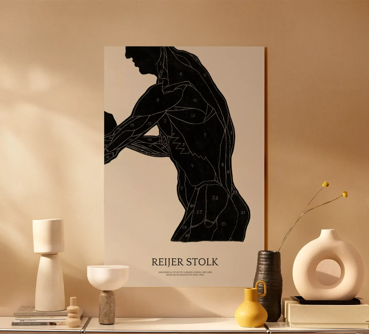 Stolk - Anatomical Study of a Man's Lateral and Arm Muscles acrylic glass by Vintage by JUNIQE