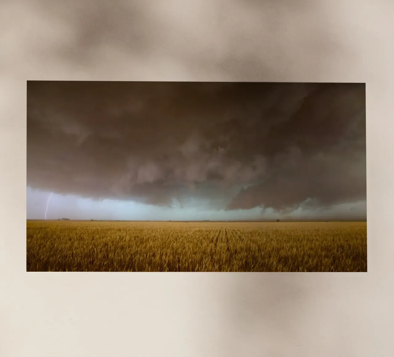 campo di grano cielo tempestoso pellicola backlit da Earthly Visions
