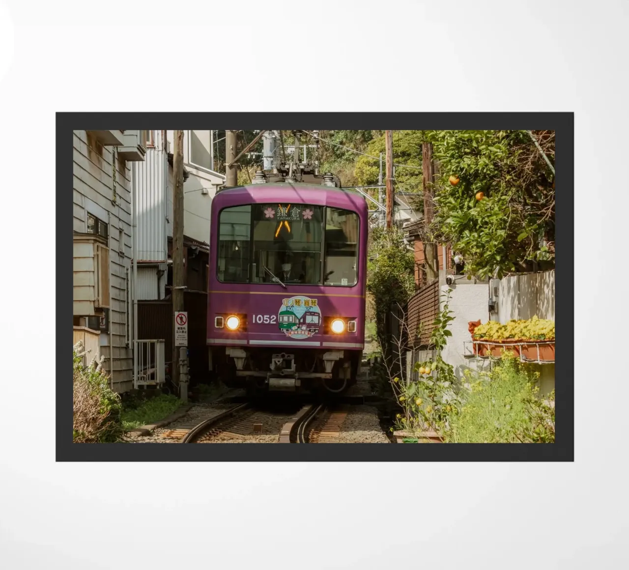 Treno a Kamakura, Giappone zerbino da Marcel Bisig