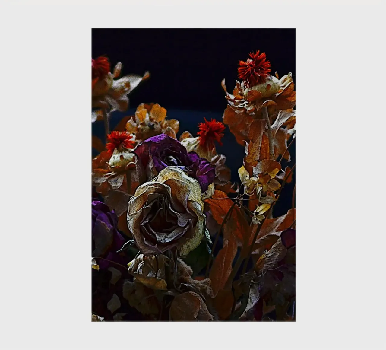FAA329 notebook by Thierry vobmann photography