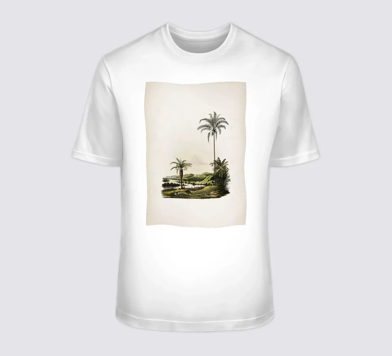 Vintage Martius 2 Cocos Botryophora t-shirt da Vintage Print Collection