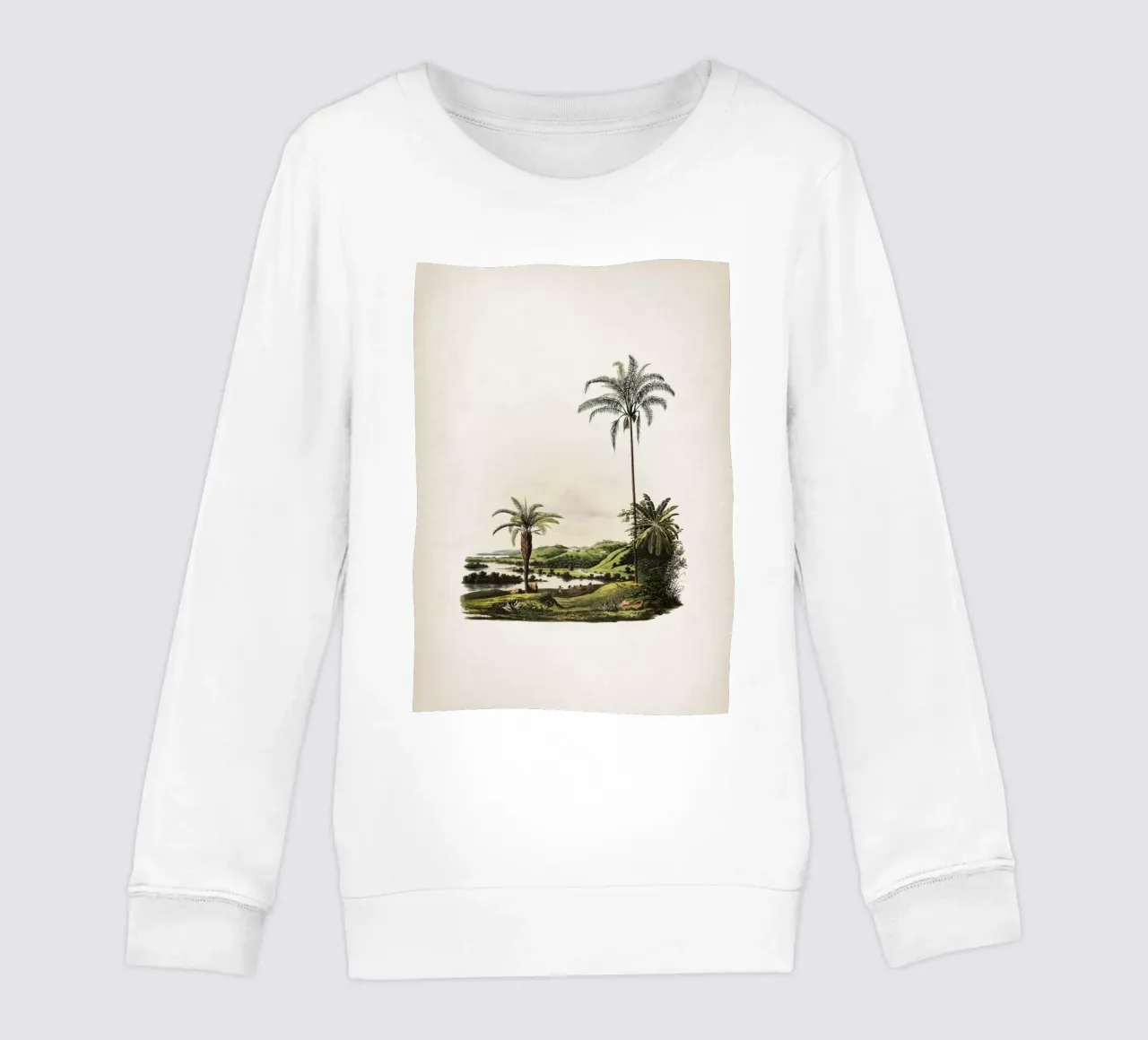 Vintage Martius 2 Cocos Botryophora felpa bambino da Vintage Print Collection