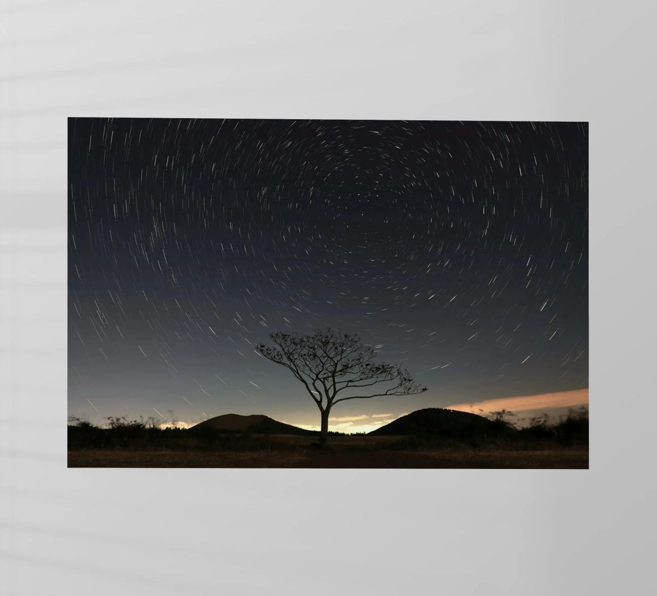silhouette albero in timelapse pellicola backlit da space words