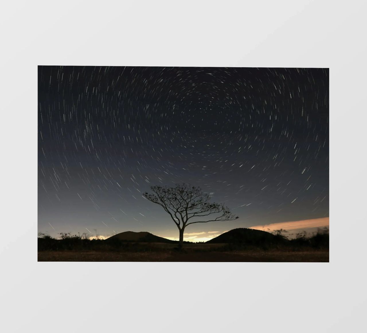 silhouette albero in timelapse pellicola backlit da space words