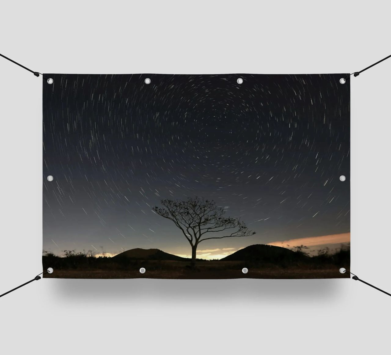 silhouette albero in timelapse telo in pvc da space words