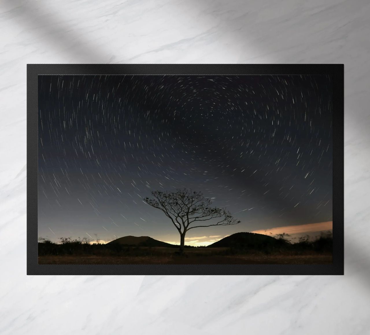 silhouette albero in timelapse zerbino da space words