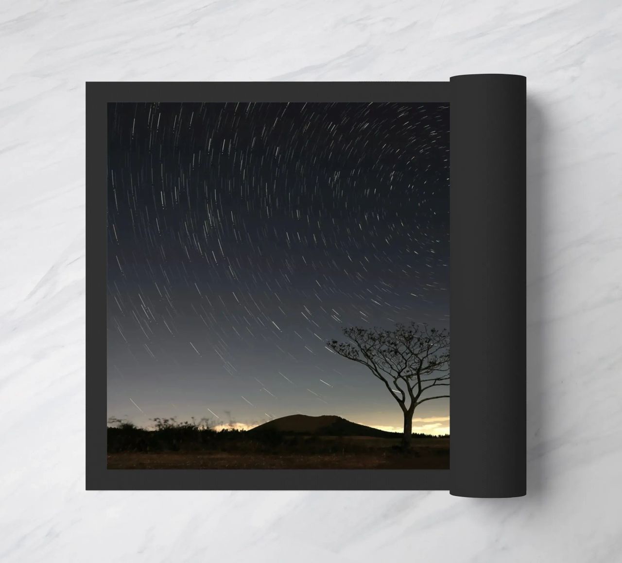 silhouette albero in timelapse zerbino da space words