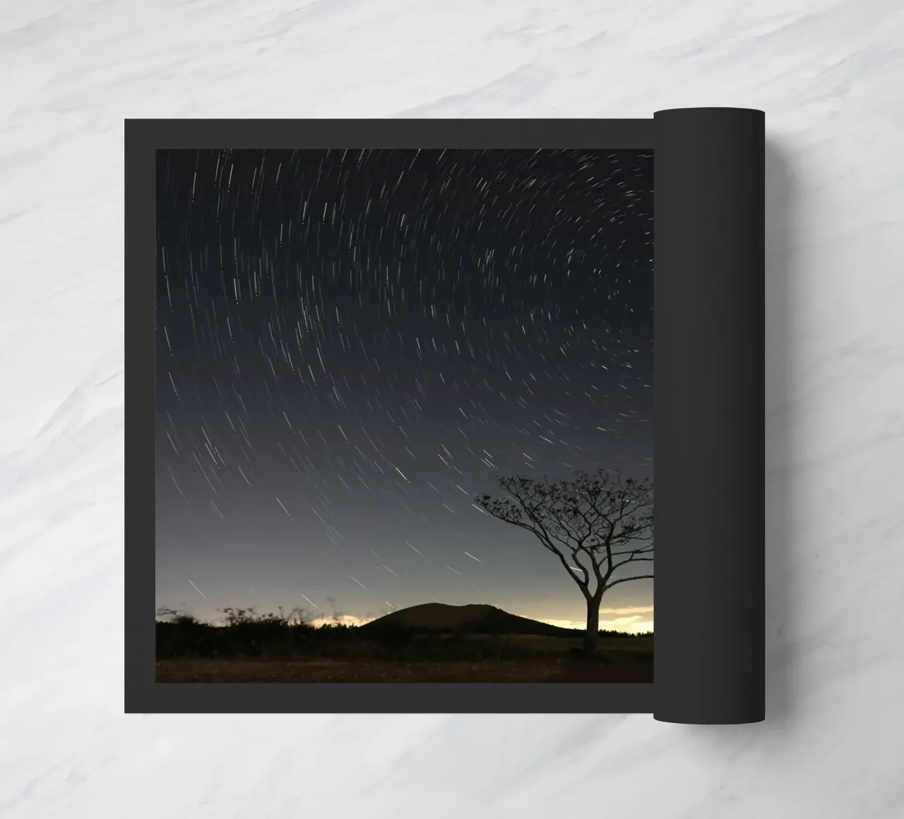 silhouette arbre timelapse paillasson de space words