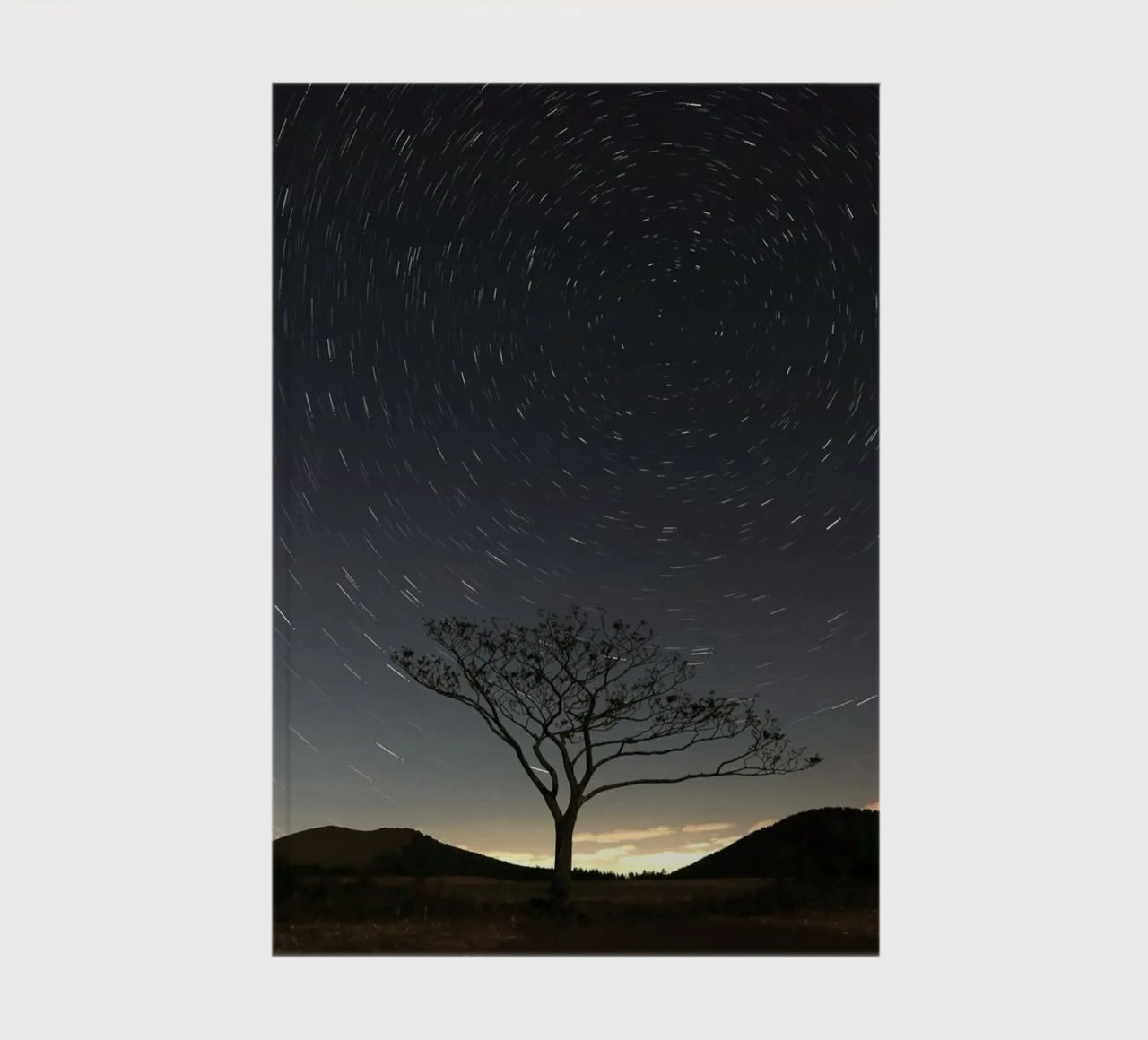 silhouette tree timelapse notebook by space words