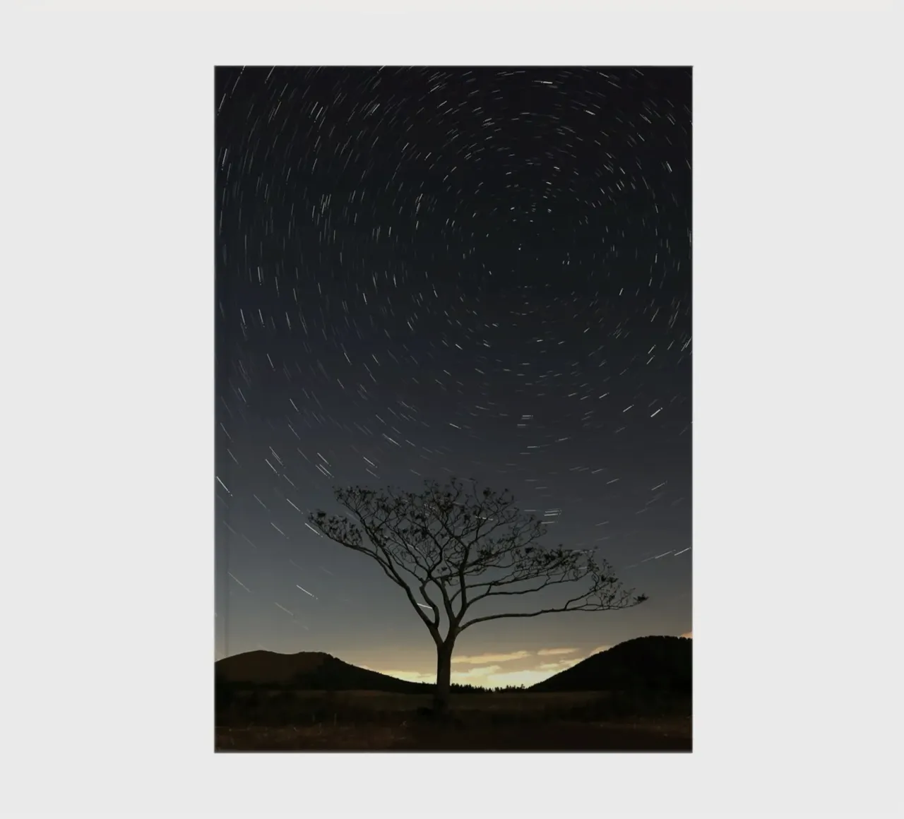 silhouette albero in timelapse diario da space words