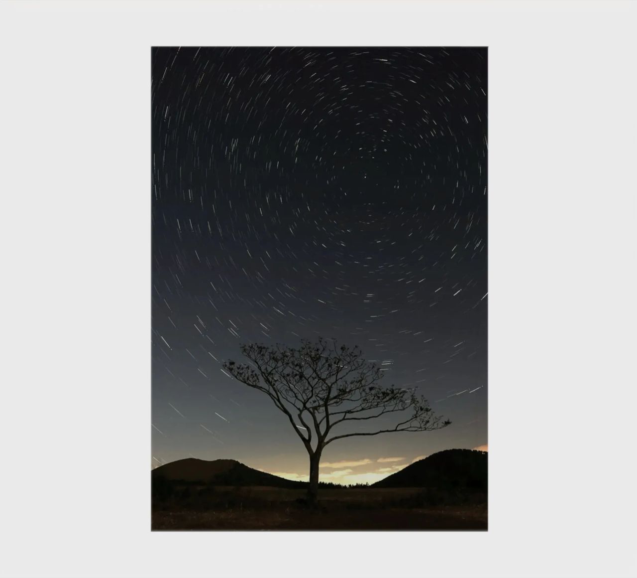 silhouette tree timelapse notebook by space words