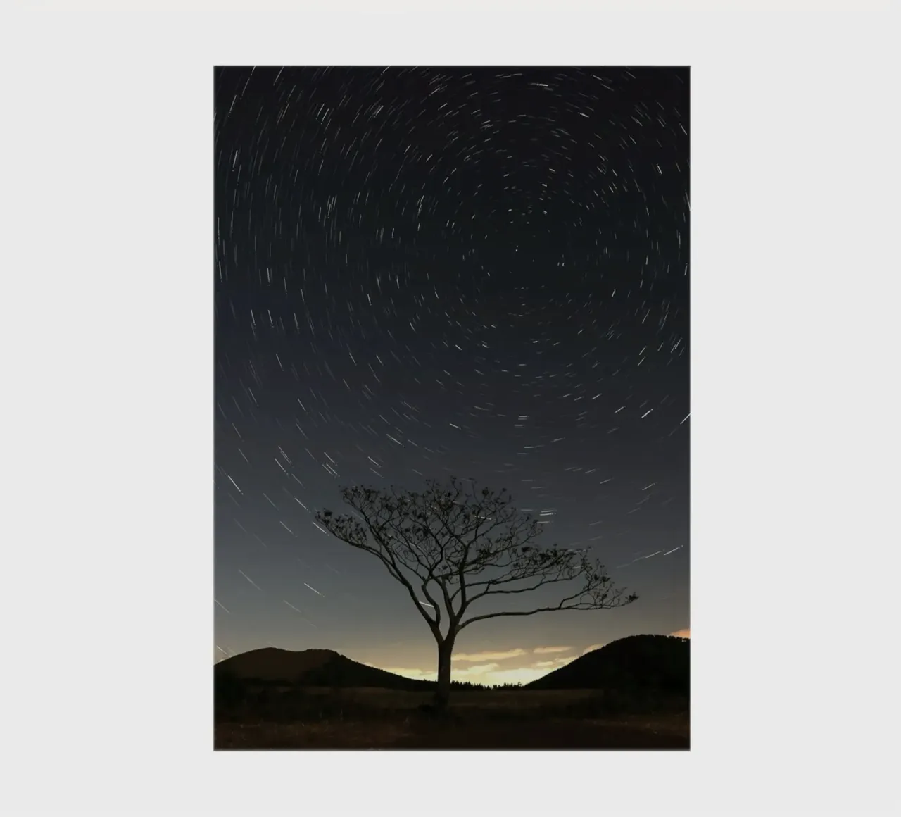 silhouette albero in timelapse diario da space words