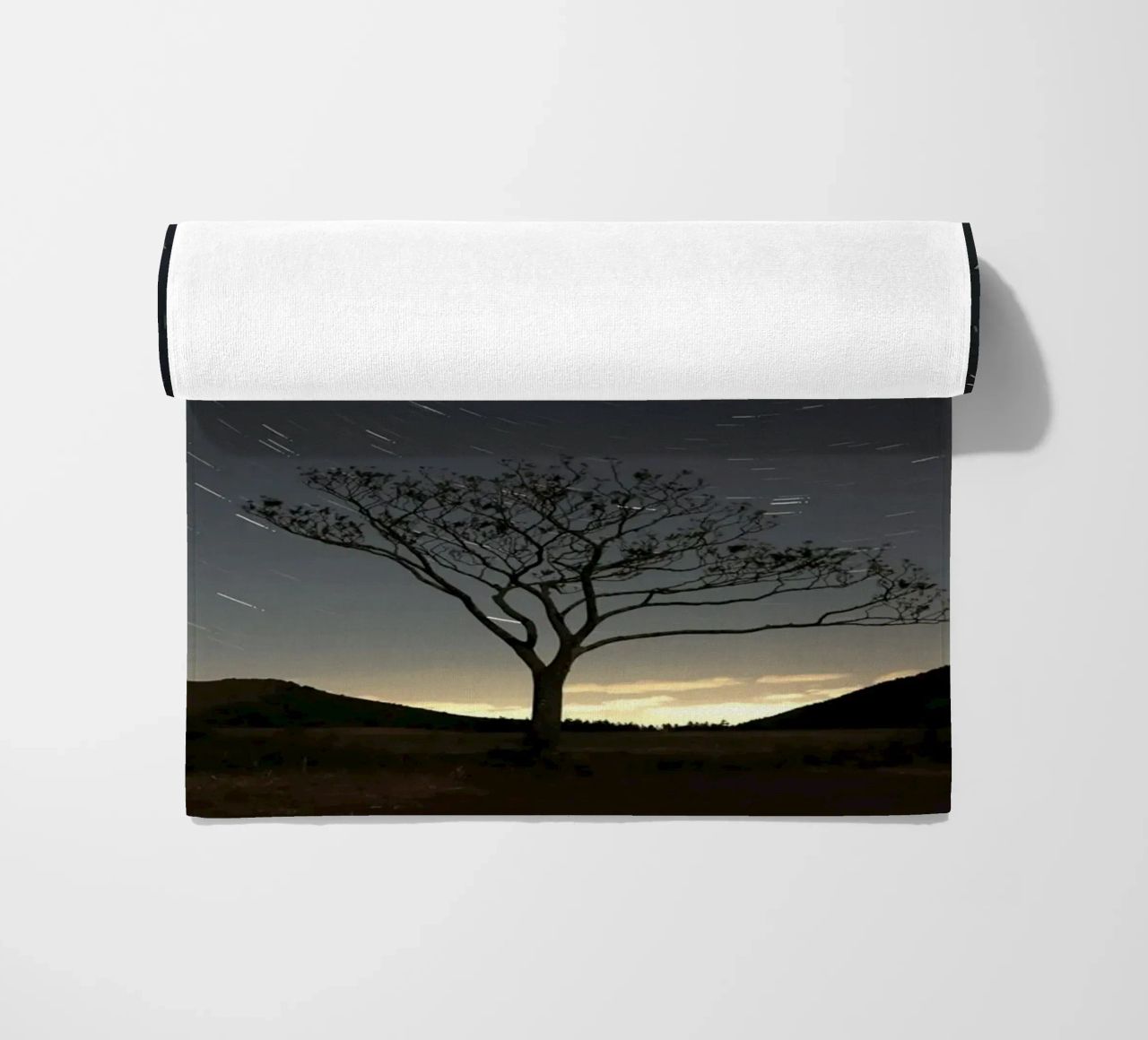silhouette albero in timelapse telo mare da space words