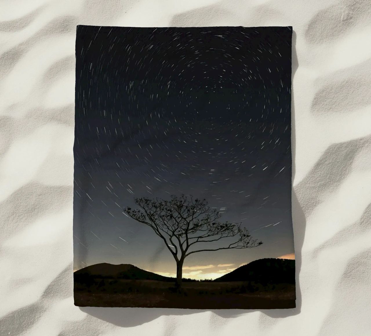 silhouette albero in timelapse telo mare da space words