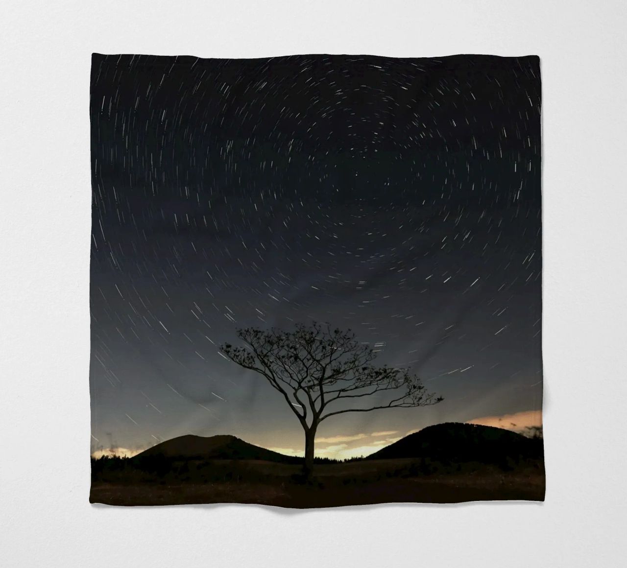 silhouette albero in timelapse coperta in pile da space words