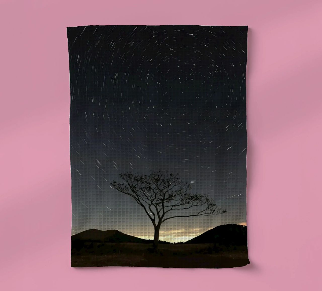 silhouette albero in timelapse canovaccio da cucina da space words