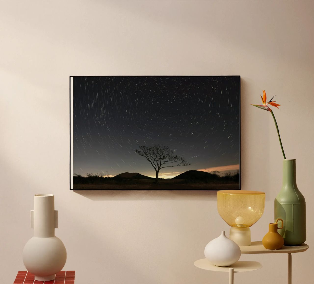 silhouette albero in timelapse plexiglass da space words