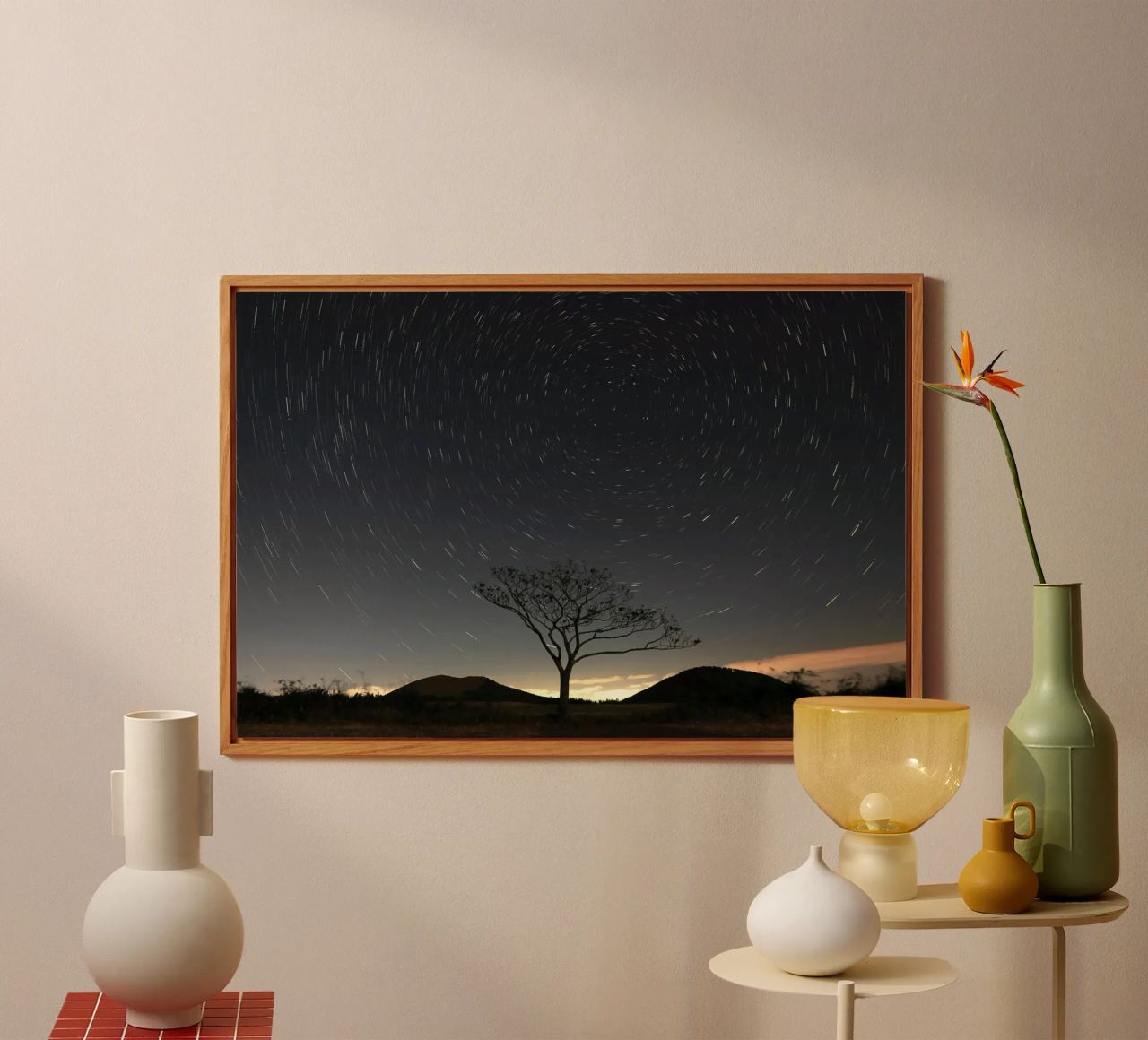silhouette albero in timelapse alluminio dibond da space words