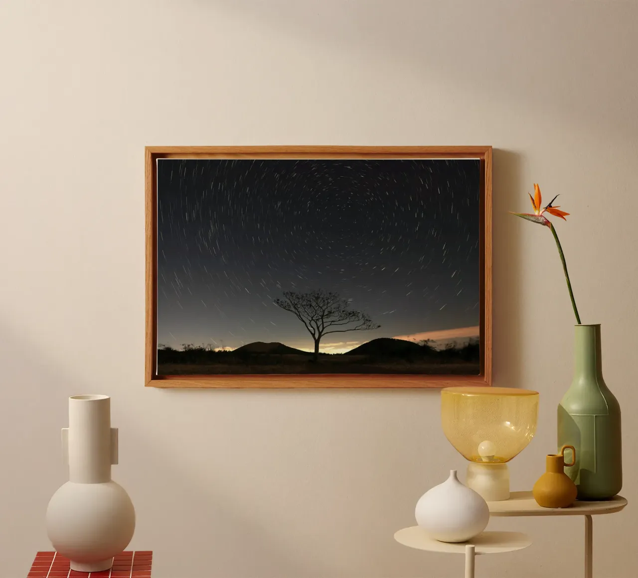 silhouette albero in timelapse tela da space words