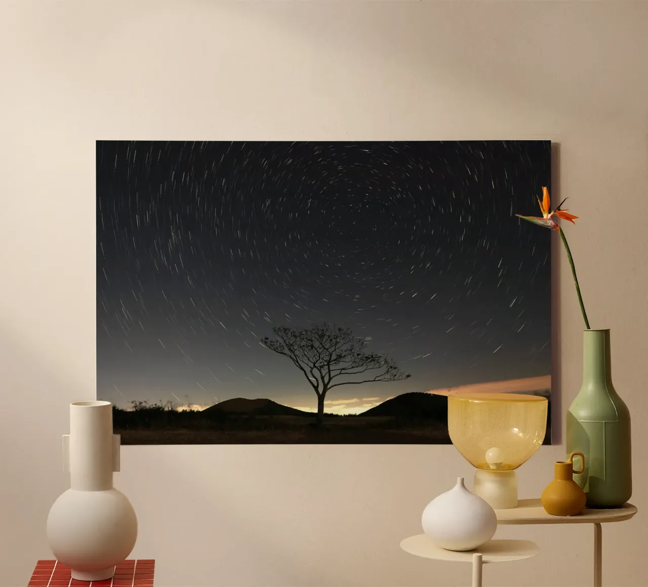silueta árbol timelapse lienzo de space words