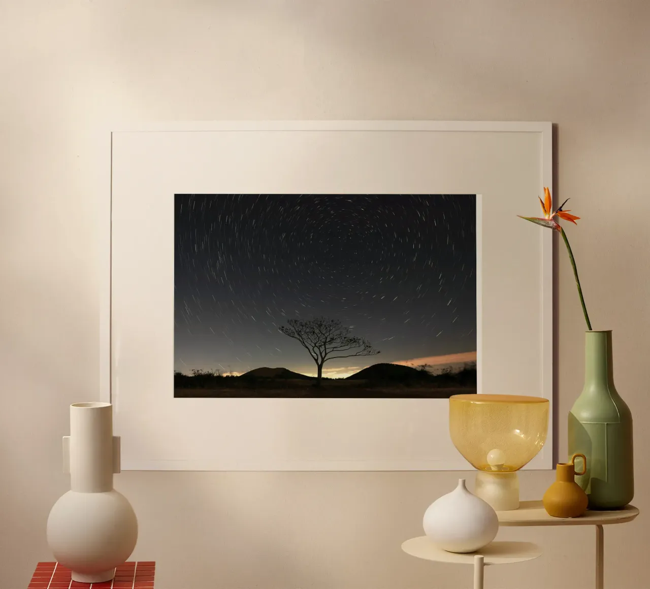 silhouette albero in timelapse poster da space words