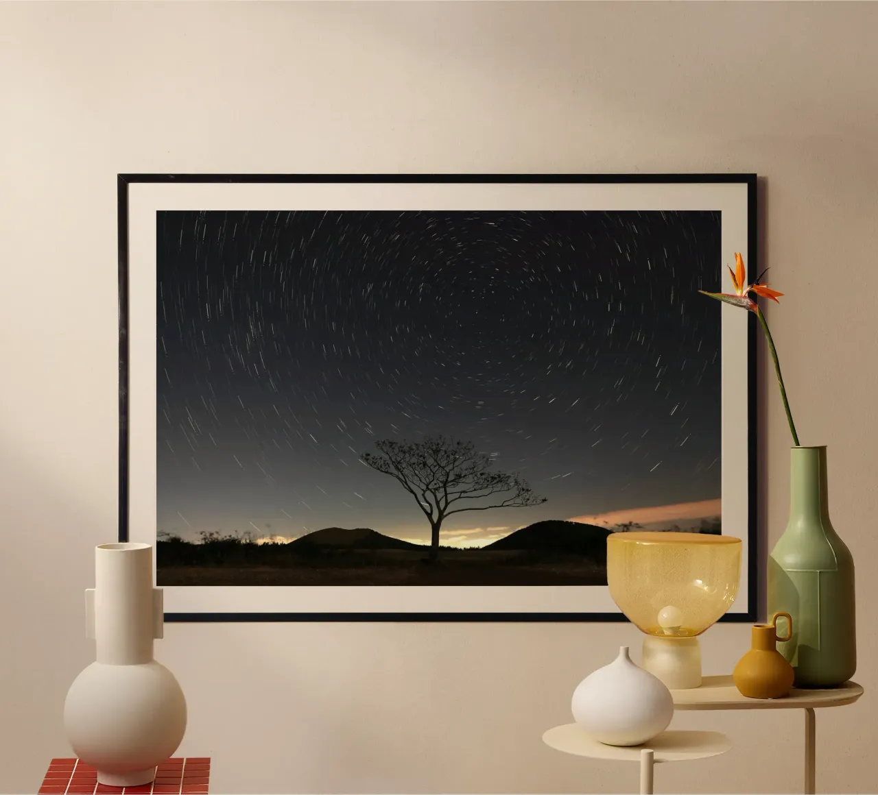 silhouette albero in timelapse poster da space words
