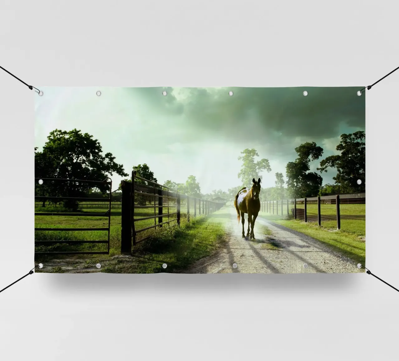 cavallo nella fiaba telo in pvc da Horsire