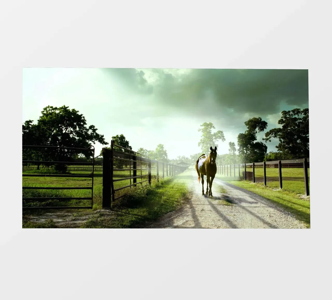 cavallo nella fiaba telo in pvc da Horsire