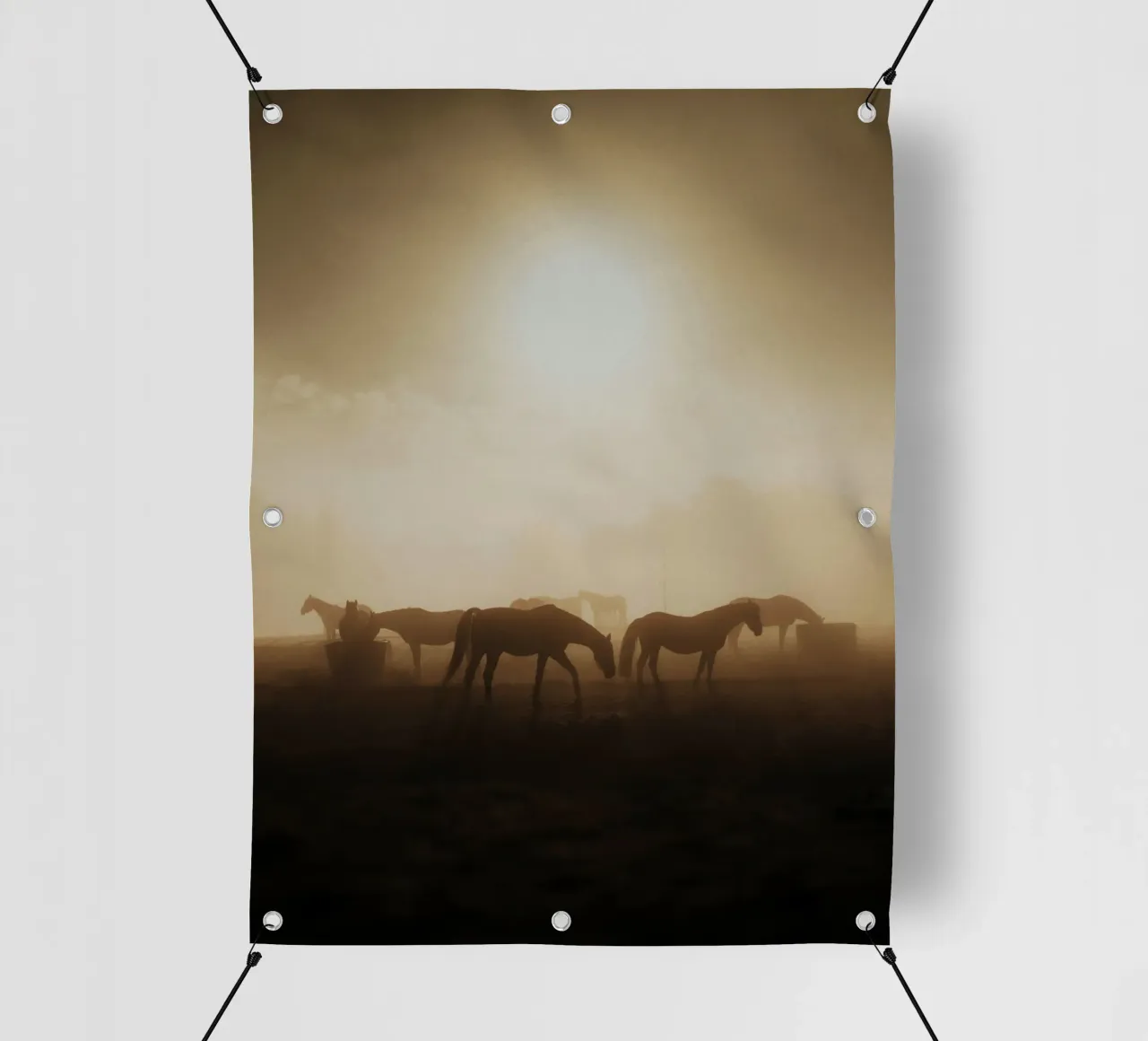 paarden in de zonsondergang pvc-zeil van Horsire
