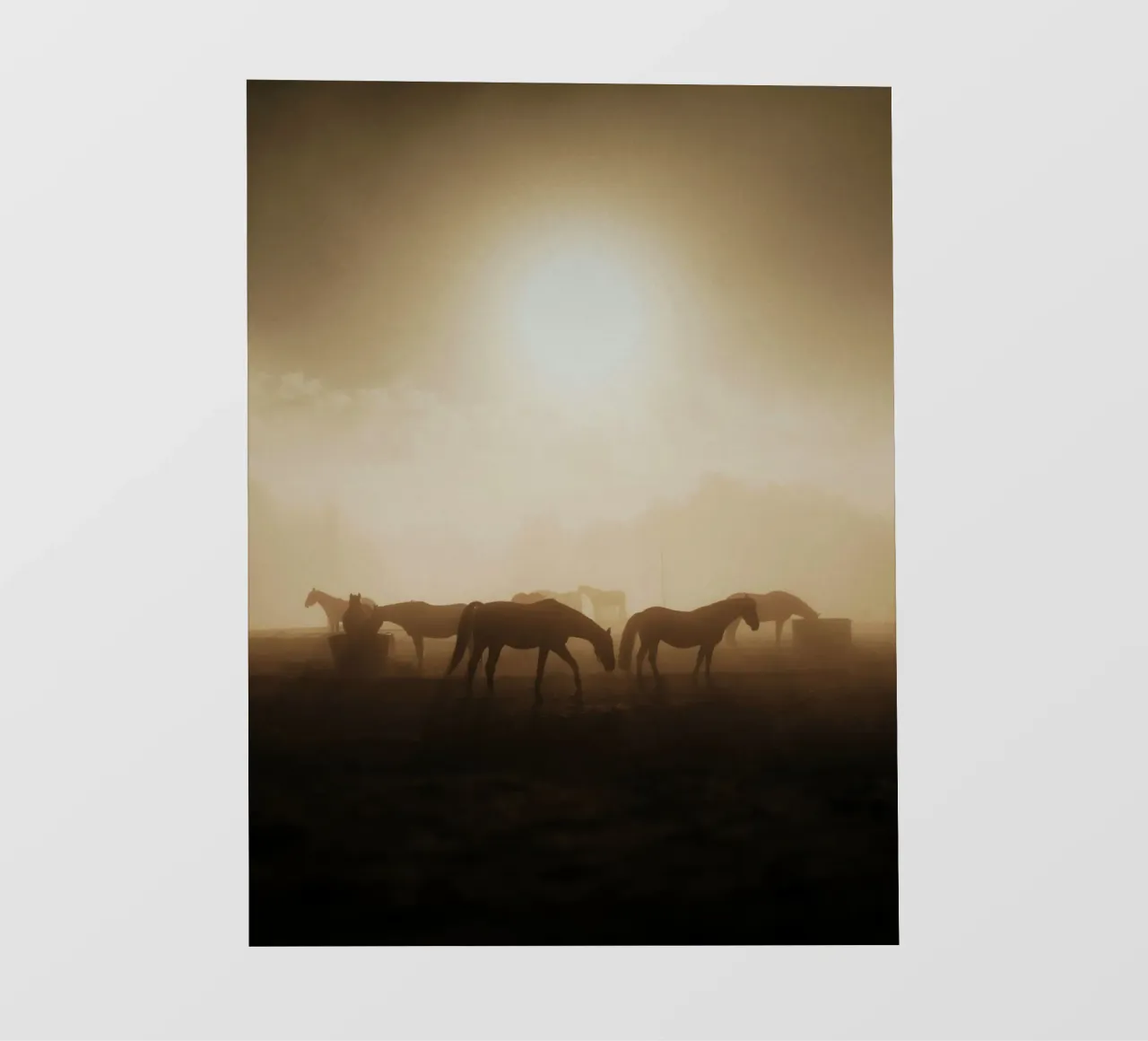 paarden in de zonsondergang pvc-zeil van Horsire