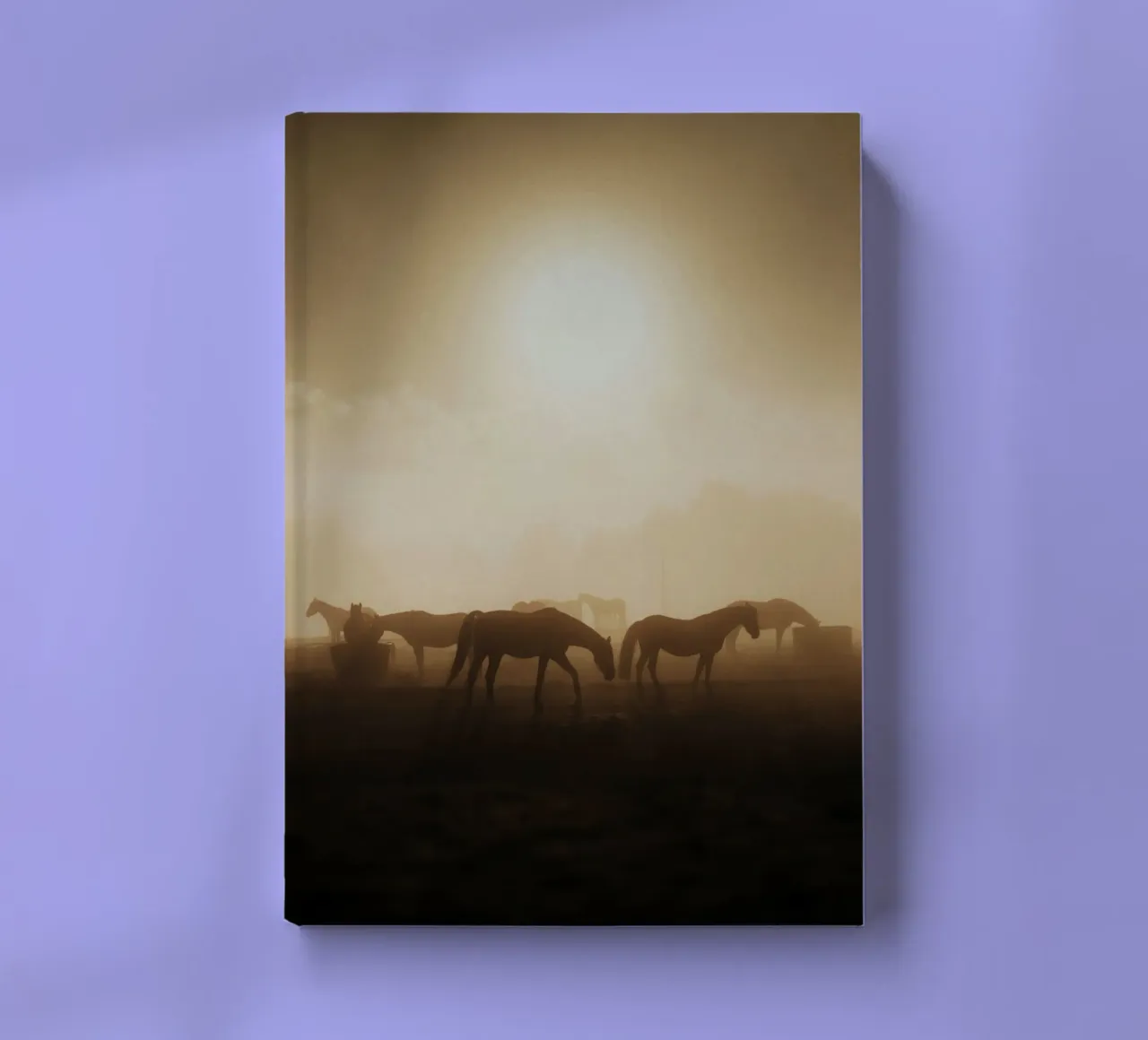 chevaux au coucher du soleil carnet de notes de Horsire