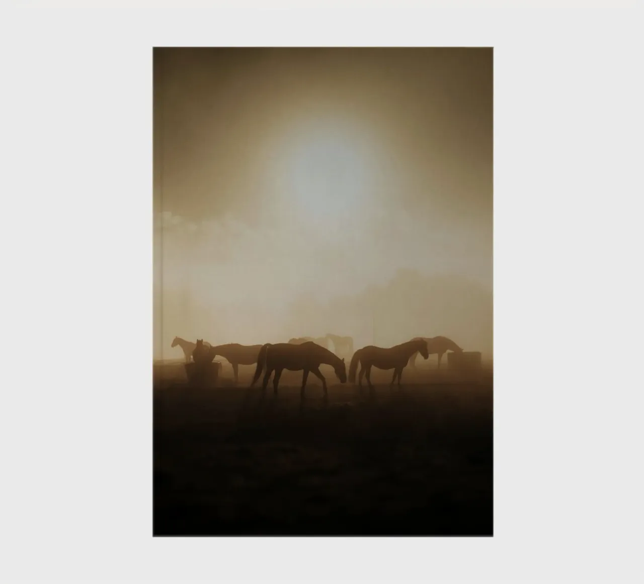 chevaux au coucher du soleil carnet de notes de Horsire