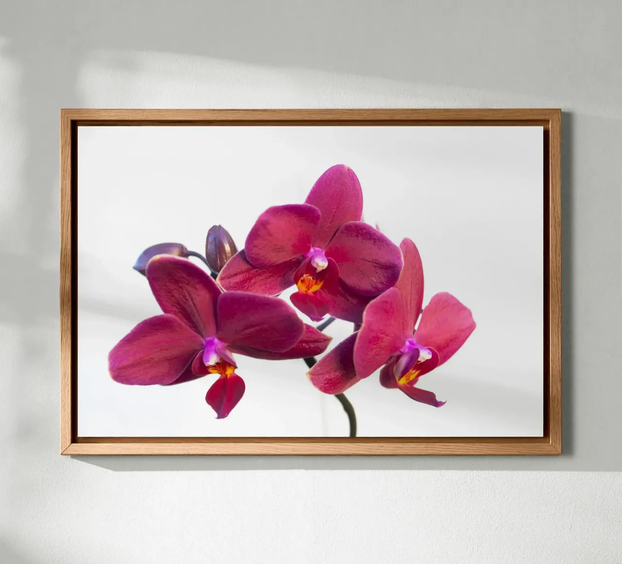 Orchidea di velluto tela con Cornice a cassetta da Bold Blooms