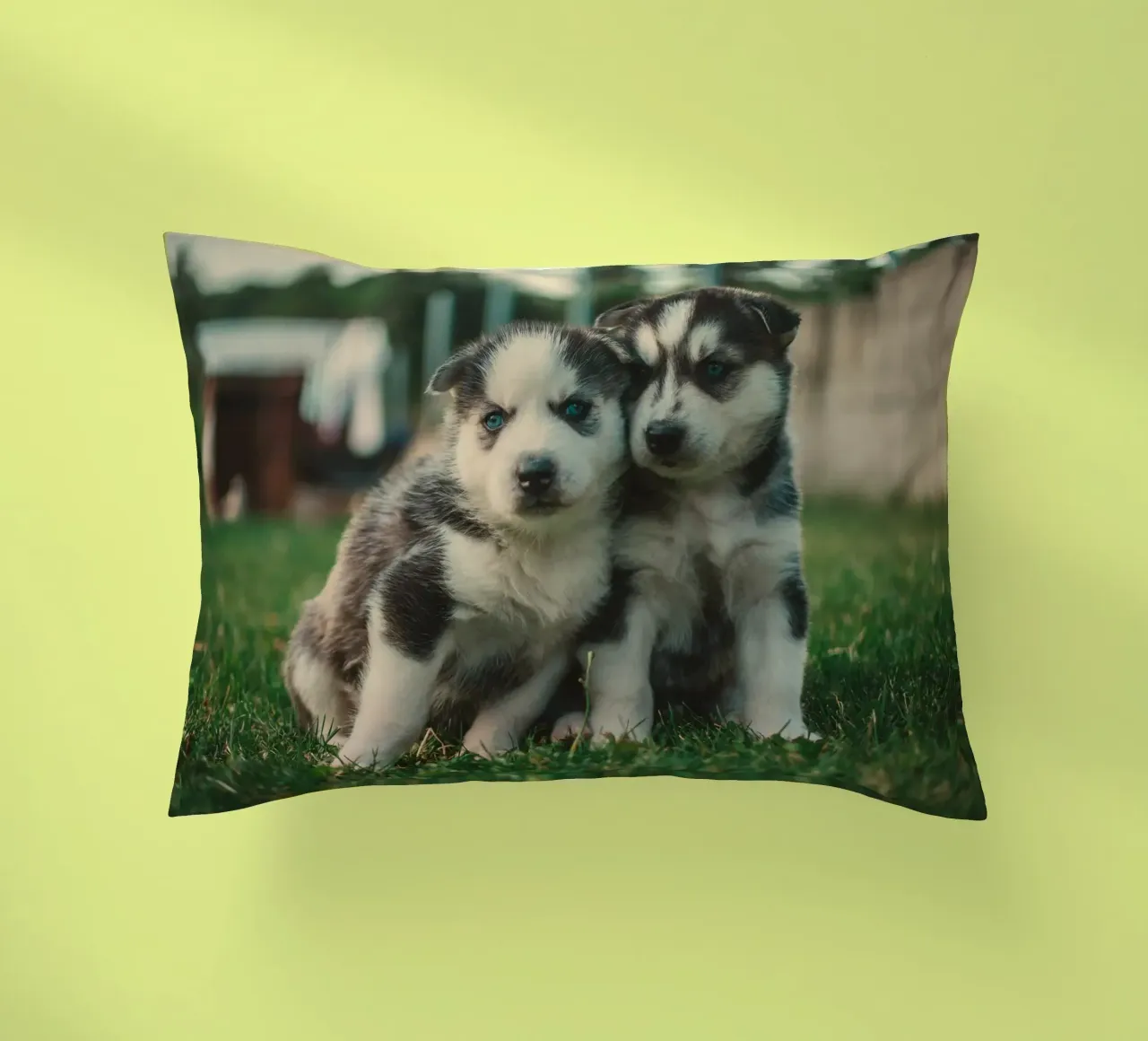 cuccioli doppi cuscino da animal story home