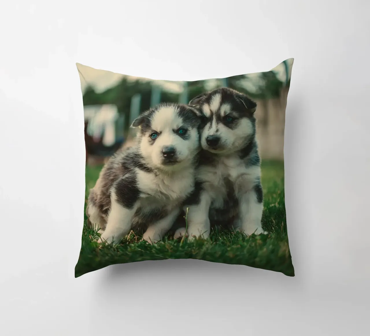 cuccioli doppi cuscino da animal story home