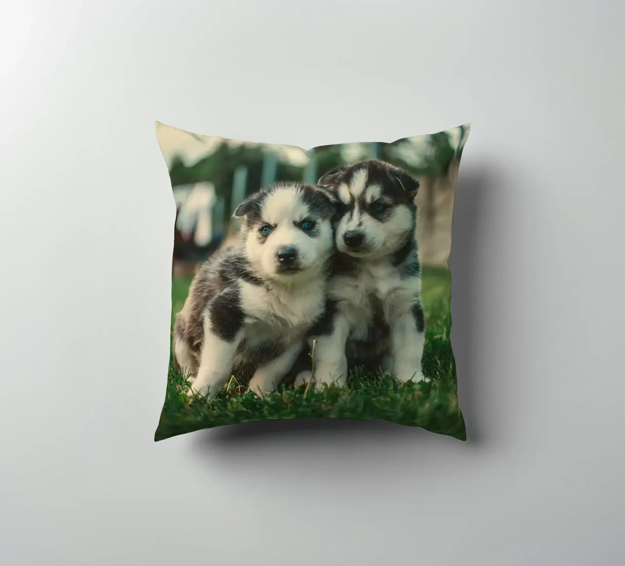cuccioli doppi cuscino da animal story home