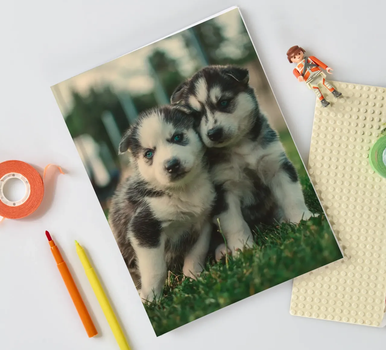 puppies double notebook by animal story home