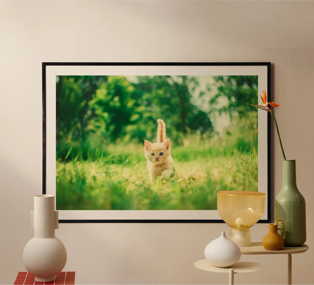 gattino baffuto poster da animal story home